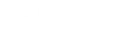aladin (1)